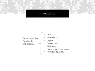 HISTOLOGÍA.
Diferenciación y
función del
osteoblasto.
• PTH.
• Vitamina D.
• Leptina.
• Estrógenos.
• Citocinas.
• Factores de crecimiento.
• Proteínas de MEC.
 