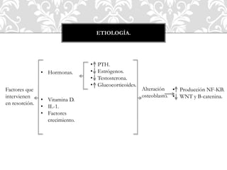ETIOLOGÍA.
• Hormonas.
• Vitamina D.
• IL-1.
• Factores
crecimiento.
• PTH.
• Estrógenos.
• Testosterona.
• Glucocorticoides.
Alteración
osteoblasto.
• Producción NF-KB.
• WNT y B-catenina.
Factores que
intervienen
en resorción.
 