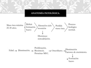 ANATOMÍA PATOLÓGICA.
Masa ósea máxima
25-30 años.
Déficit
formación
hueso
Alteración ciclo
resorción
Disminuye
remodelación.
Perdida
masa ósea.
Proceso
biológico
normal.
Edad. Disminución.
Proliferación.
Biosíntesis.
Proteínas MEC.
Osteoblasto.
Disminución
Factores de crecimiento.
Formación
hueso
 