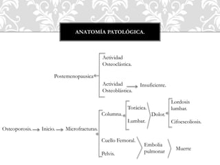 ANATOMÍA PATOLÓGICA.
Postemenopausica
Actividad
Osteoclástica.
Actividad
Osteoblástica.
Insuficiente.
Osteoporosis. Inicio. Microfracturas.
Columna.
Cuello Femoral.
Pelvis.
Torácica.
Lumbar.
Dolor.
Lordosis
lumbar.
Cifoescoliosis.
Embolia
pulmonar
Muerte
 