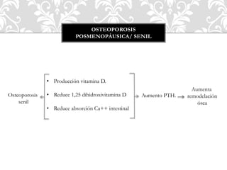 Osteoporosis
senil
• Producción vitamina D.
• Reduce 1,25 dihidroxivitamina D
• Reduce absorción Ca++ intestinal
Aumento PTH.
Aumenta
remodelación
ósea
OSTEOPOROSIS
POSMENOPÁUSICA/ SENIL
 