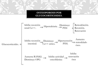 OSTEOPOROSIS POR
GLUCOCORTICOIDES.
Glucocorticoides.
Inhibe resorción
renal Ca++.
Hipercalciuria.
Inhibe resorción
intestinal.
Disminuye
Ca++ sérico.
Hipersecreción
PTH.
Aumento
remodelado
óseo.
Disminuye
PTH
Remodelación.
Resorción.
Renovación
Aumenta RANKL
Disminuye OPG
Inhibe actividad
osteoblástica
Inhibe
renovación
ósea
 