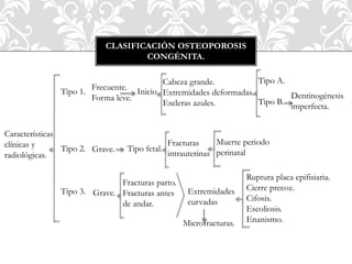 CLASIFICACIÓN OSTEOPOROSIS
CONGÉNITA.
Características
clínicas y
radiológicas.
Tipo 1.
Frecuente.
Forma leve.
Inicio
Cabeza grande.
Extremidades deformadas.
Escleras azules.
Tipo A.
Tipo B.
Dentinogénesis
imperfecta.
Tipo 2. Grave. Tipo fetal.
Fracturas
intrauterinas
Muerte periodo
perinatal
Tipo 3. Grave.
Fracturas parto.
Fracturas antes
de andar.
Extremidades
curvadas
Microfracturas.
Ruptura placa epifisiaria.
Cierre precoz.
Cifosis.
Escoliosis.
Enanismo.
 