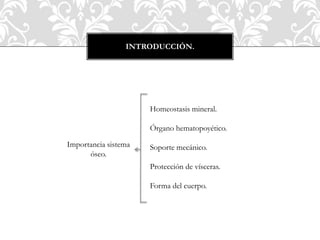 INTRODUCCIÓN.
Importancia sistema
óseo.
Homeostasis mineral.
Órgano hematopoyético.
Soporte mecánico.
Protección de vísceras.
Forma del cuerpo.
 