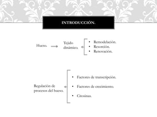 INTRODUCCIÓN.
Hueso.
Tejido
dinámico.
• Remodelación.
• Resorción.
• Renovación.
Regulación de
procesos del hueso.
• Factores de transcripción.
• Factores de crecimiento.
• Citosinas.
 