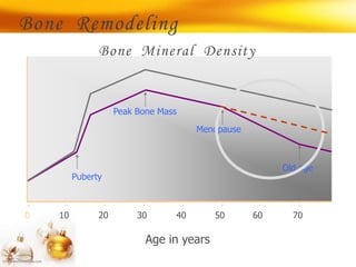 Puberty
Peak Bone Mass
Menopause
Old age
0 40 50 60 7020 3010
Age in years
Bone Mineral Density
Bone Remodeling
 