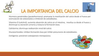 Hormona paratiroidea (paratohormona): promueve la movilización del calcio desde el hueso por
estimulación de osteoclastos e inhibición de osteoblastos.
Vitamina D (calcitrol): aumenta absorción de calcio en el intestino, moviliza ca desde el hueso y
disminuye su excreción urinaria y restaura la formación ósea.
Calcitonina: disminuye reabsorción renal del calcio.
Glucocorticoides: inhiben formación ósea por inhibir precursores de osteoblastos.
Estrógenos: previenen osteoporosis menopaúsica.
 