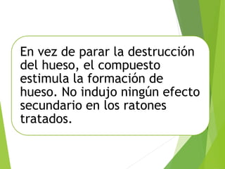 En vez de parar la destrucción
del hueso, el compuesto
estimula la formación de
hueso. No indujo ningún efecto
secundario en los ratones
tratados.
 