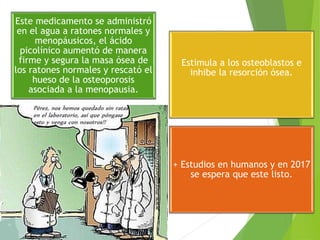  .
Este medicamento se administró
en el agua a ratones normales y
menopáusicos, el ácido
picolínico aumentó de manera
firme y segura la masa ósea de
los ratones normales y rescató el
hueso de la osteoporosis
asociada a la menopausia.
Estimula a los osteoblastos e
inhibe la resorción ósea.
+ Estudios en humanos y en 2017
se espera que este listo.
 
