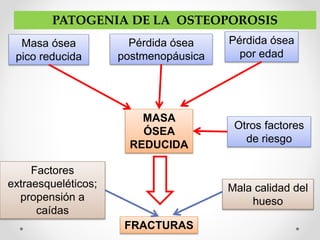 PATOGENIA DE LA OSTEOPOROSIS
Masa ósea
pico reducida
Pérdida ósea
postmenopáusica
Pérdida ósea
por edad
MASA
ÓSEA
REDUCIDA
Otros factores
de riesgo
FRACTURAS
Mala calidad del
hueso
Factores
extraesqueléticos;
propensión a
caídas
 