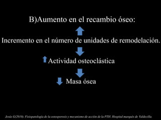 B)Aumento en el recambio óseo:
Incremento en el número de unidades de remodelación.
Actividad osteoclástica
Masa ósea
Jesús G(2010). Fisiopatología de la osteoporosis y mecanismo de acción de la PTH. Hospital marqués de Valdecilla.
 