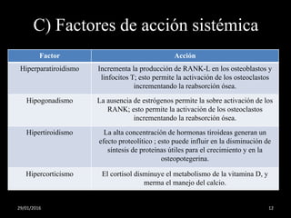 C) Factores de acción sistémica
Factor Acción
Hiperparatiroidismo Incrementa la producción de RANK-L en los osteoblastos y
linfocitos T; esto permite la activación de los osteoclastos
incrementando la reabsorción ósea.
Hipogonadismo La ausencia de estrógenos permite la sobre activación de los
RANK; esto permite la activación de los osteoclastos
incrementando la reabsorción ósea.
Hipertiroidismo La alta concentración de hormonas tiroideas generan un
efecto proteolítico ; esto puede influir en la disminución de
síntesis de proteínas útiles para el crecimiento y en la
osteopotegerina.
Hipercorticismo El cortisol disminuye el metabolismo de la vitamina D, y
merma el manejo del calcio.
29/01/2016 12
 