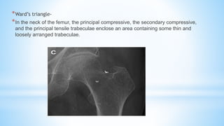 Imaging in Osteoporosis and Paget's disease | PPTX