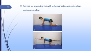 Exercise for improving strength in lumbar extensors and gluteus
maximus muscles.
38
 
