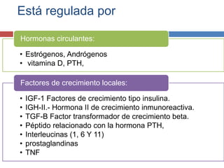 Está regulada por
• Estrógenos, Andrógenos
• vitamina D, PTH,
Hormonas circulantes:
• IGF-1 Factores de crecimiento tipo insulina.
• IGH-II.- Hormona II de crecimiento inmunoreactiva.
• TGF-B Factor transformador de crecimiento beta.
• Péptido relacionado con la hormona PTH,
• Interleucinas (1, 6 Y 11)
• prostaglandinas
• TNF
Factores de crecimiento locales:
 