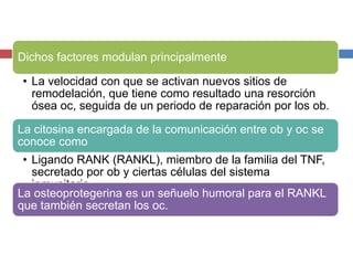 Dichos factores modulan principalmente
• La velocidad con que se activan nuevos sitios de
remodelación, que tiene como resultado una resorción
ósea oc, seguida de un periodo de reparación por los ob.
La citosina encargada de la comunicación entre ob y oc se
conoce como
• Ligando RANK (RANKL), miembro de la familia del TNF,
secretado por ob y ciertas células del sistema
inmunitario.
La osteoprotegerina es un señuelo humoral para el RANKL
que también secretan los oc.
 