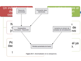 Un individuo puede
desarrollar
osteoporosis
No alcanza una masa
ósea pico adecuada
(niñez y adolescencia)
Pérdida de la densidad
ósea (edad, menopausia
o por exposición a
factores de riesgo).
La pérdida ósea es el
resultado de un
desequilibrio
Entre la
formación de
hueso nuevo
Resorción del ya
existente.
 