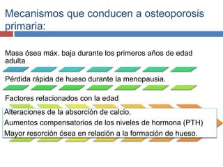 Mecanismos que conducen a osteoporosis
primaria:
Masa ósea máx. baja durante los primeros años de edad
adulta
Pérdida rápida de hueso durante la menopausia.
Factores relacionados con la edad
Alteraciones de la absorción de calcio.
Aumentos compensatorios de los niveles de hormona (PTH)
Mayor resorción ósea en relación a la formación de hueso.
 