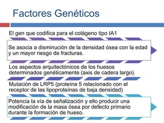 Factores Genéticos
El gen que codifica para el colágeno tipo IA1
Se asocia a disminución de la densidad ósea con la edad
y un mayor riesgo de fracturas.
Los aspectos arquitectónicos de los huesos
determinados genéticamente (axis de cadera largo).
Mutación de LRP5 (proteína 5 relacionado con el
receptor de las lipoproteínas de baja densidad)
Potencia la vía de señalización y ello producir una
modificación de la masa ósea por defecto primario
durante la formación de hueso.
 
