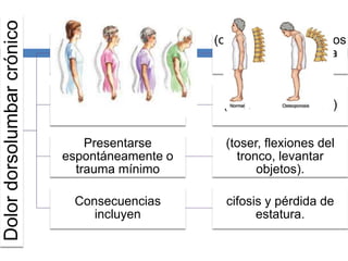 Dolordorsolumbarcrónico
Puede relacionarse con
patologías
(osteoartritis, trastornos
mecánicos, mieloma
múltiple)
Forma de presentación
de fracturas vertebrales
(70% asintomáticas)
Presentarse
espontáneamente o
trauma mínimo
(toser, flexiones del
tronco, levantar
objetos).
Consecuencias
incluyen
cifosis y pérdida de
estatura.
 