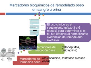 Marcadores bioquímicos de remodelado óseo
en sangre u orina
Marcadores de
formación ósea
(osteocalcina, fosfatasa alcalina
ósea)
Marcadores de
resorción ósea
(telopéptidos,
piridinolina)
El uso clínico es el
seguimiento (plazo 3 a 6
meses) para determinar si el
tx. fue efectivo al normalizarse
evidencias de remodelado
excesivo.
 