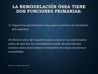 LA REMODELACIÓN ÓSEA TIENE
DOS FUNCIONES PRIMARIAS:
1) reparar las microlesiones óseas para conservar la resistencia
del esqueleto.
2) obtener calcio del esqueleto para conservar la concentración
sérica de este ion. La remodelación puede ser activada por
lesiones óseas microscópicas resultantes de cargas excesivas o
acumuladas
Harrison 17 edición, capitulo 348
 