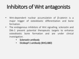 • Wnt-dependent nuclear accumulation of β-catenin is a
major trigger of osteoblastic differentiation and bone
formation.
• The endogenous inhibitors of Wnt signalling, sclerostin and
Dkk-1 present potential therapeutic targets to enhance
osteoblastic bone formation and are under clinical
investigation.
• Sclerostin antibody
• Dickkopf-1 antibody (BHQ-880)
Inhibitors of Wnt antagonists
 
