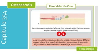 Capitulo354 Osteoporosis
Fisiopatología
Los osteoblastos continúan la formación y mineralización. El osteoide previo
empieza a mineralizarse (líneas horizontales).
Mecanismo de la remodelación ósea. La unidad molecular básica (BMU) se
mueve a lo largo de la superficie trabecular a una velocidad de 10 μm/día.
La figura muestra la remodelación que tiene lugar en unos 20 día
 