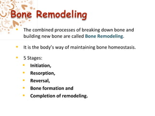  The combined processes of breaking down bone and
building new bone are called Bone Remodeling.
 It is the body’s way of maintaining bone homeostasis.
 5 Stages:
 Initiation,
 Resorption,
 Reversal,
 Bone formation and
 Completion of remodeling.
 