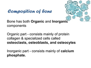 Composition of bone
Bone has both Organic and Inorganic
components
Organic part - consists mainly of protein
collagen & specialized cells called
osteoclasts, osteoblasts, and osteocytes
Inorganic part - consists mainly of calcium
phosphate.
 