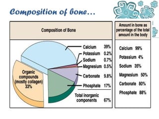 Composition of bone…
 