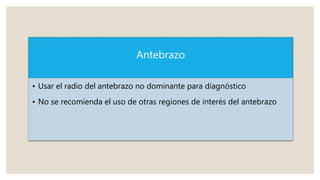 Antebrazo
• Usar el radio del antebrazo no dominante para diagnóstico
• No se recomienda el uso de otras regiones de interés del antebrazo
 