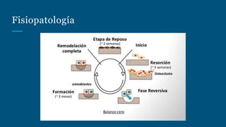 Fisiopatología
 