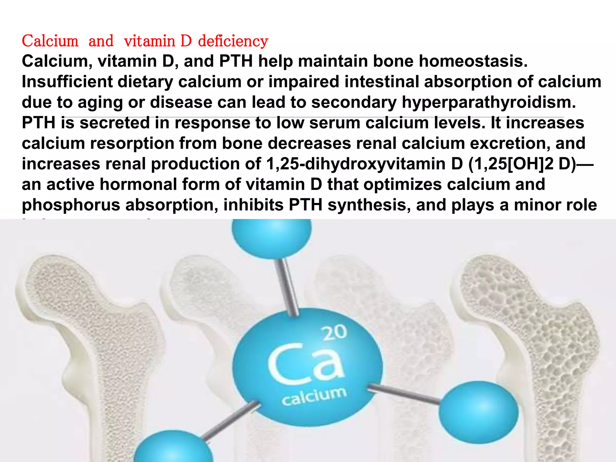 Osteoporosis | PPT