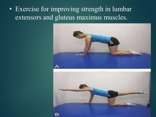 • Exercise for improving strength in lumbar
extensors and gluteus maximus muscles.
 