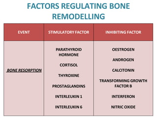 EVENT STIMULATORY FACTOR INHIBITING FACTOR
PARATHYROID
HORMONE
OESTROGEN
ANDROGEN
CORTISOL
BONE RESORPTION CALCITONIN
THYROXINE
PROSTAGLANDINS
TRANSFORMING GROWTH
FACTOR B
INTERLEUKIN 1 INTERFERON
INTERLEUKIN 6 NITRIC OXIDE
FACTORS REGULATING BONE
REMODELLING
 