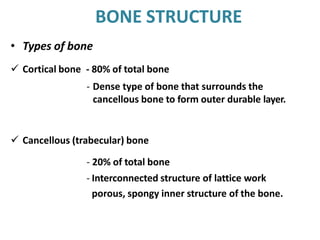 BONE STRUCTURE
• Types of bone
 Cortical bone - 80% of total bone
- Dense type of bone that surrounds the
cancellous bone to form outer durable layer.
 Cancellous (trabecular) bone
- 20% of total bone
- Interconnected structure of lattice work
porous, spongy inner structure of the bone.
 