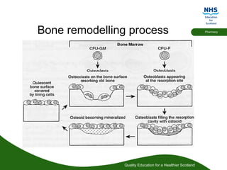 Quality Education for a Healthier Scotland
Pharmacy
Bone remodelling process
 
