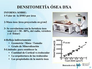 DENSITOMETÍA ÓSEA DXA INFORMA SOBRE: 1-Valor de  la DMO por área  2-Masa ósea /área proyectada en g/cm2 3- Se correlaciona con la fortaleza ósea total  (r2 = 50 - 80%, del radio, vértebra y el  fémur) 4-Refle ja  indirect amente Geometr ía  / Mas a  /  Tamaño Grado de Mineralización 5-Limitado: para establecer  la Cantidad de Cortical vs trabecular La arquitectura  de las trabeculas  Las propiedades de la matriz ósea Bouxsein et al, 1999 