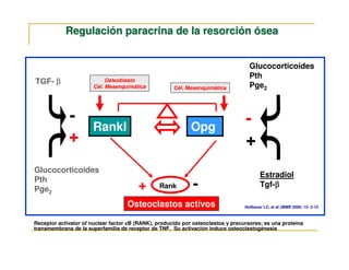 Regulación paracrina de la resorción ósea


                                                                                    Glucocorticoides
                                                                                    Pth
TGF- β                      Osteoblasto
                                                                                    Pge2
                       Cél. Mesenquimática            Cél. Mesenquimática




             -                                                                    -
                       Rankl                                 Opg
             +                                                                    +
Glucocorticoides
                                                                                         Estradiol
Pth
Pge2                                    +       Rank         -                           Tgf-β
                                                                                             β

                                    Osteoclastos activos                          Hofbauer LC, et al JBMR 2000; 15: 2-12



Receptor activator of nuclear factor κB (RANK), producido por osteoclastos y precursores; es una proteína
transmembrana de la superfamilia de receptor de TNF. Su activación induce osteoclastogénesis
 