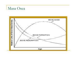Masa Osea
 