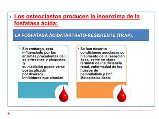 Reticulado-telopéptido carboxiterminal (CTX), 