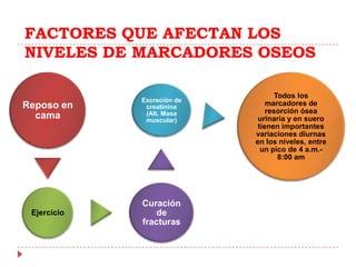 Deoxypyridinolines (DPD)Los osteoclastos producen la isoenzima de la fosfatasa ácida: LA FOSFATASA ÁCIDATARTRATO-RESISTENTE (TRAP). 