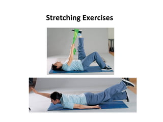 Stretching Exercises
 