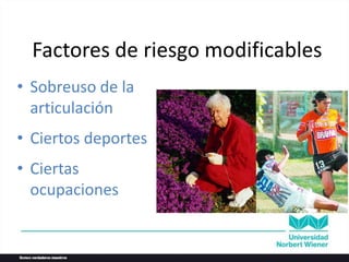 • Sobreuso de la
articulación
• Ciertos deportes
• Ciertas
ocupaciones
Factores de riesgo modificables
 