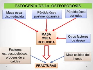 PATOGENIA DE LA OSTEOPOROSIS
  Masa ósea            Pérdida ósea    Pérdida ósea
 pico reducida       postmenopáusica     por edad




                         MASA
                                        Otros factores
                         ÓSEA
                                          de riesgo
                       REDUCIDA

     Factores
extraesqueléticos;                     Mala calidad del
  propensión a                             hueso
      caídas
                      FRACTURAS
 