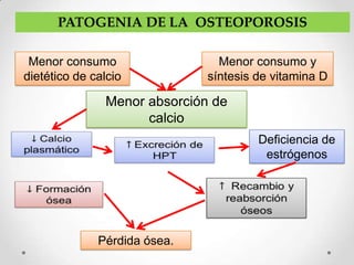 PATOGENIA DE LA OSTEOPOROSIS

 Menor consumo                  Menor consumo y
dietético de calcio           síntesis de vitamina D

               Menor absorción de
                     calcio
                                       Deficiencia de
                                        estrógenos




              Pérdida ósea.
 
