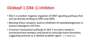 Dickkopf-1 (Dkk-1) inhibiton
• Dkk-1 is another negative regulator of WNT signaling pathway that
acts by directly binding to LRP5 and LRP6.
• Blocking these receptors lead to inhibition of osteoblastogenesis in
various osteogenic cell lines.
• A human monoclonal antibody to Dkk-1 has been tested in
ovariectomised monkeys and found to stimulate bone formation,
suggesting promise as a skeletal anabolic agent. Li X, JBMR 2011
 