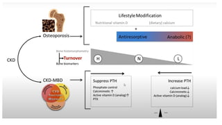 Osteoporosis Disease in Chronic Kidney Diseases | PPTX