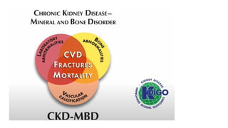 Osteoporosis Disease in Chronic Kidney Diseases | PPTX